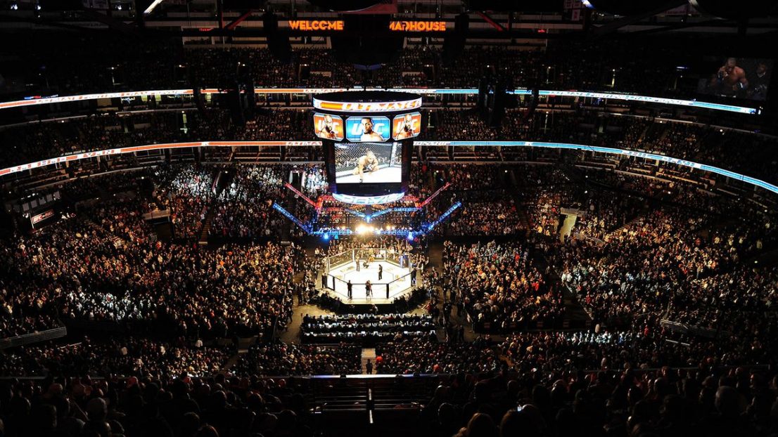 view of the Octagon and general arena