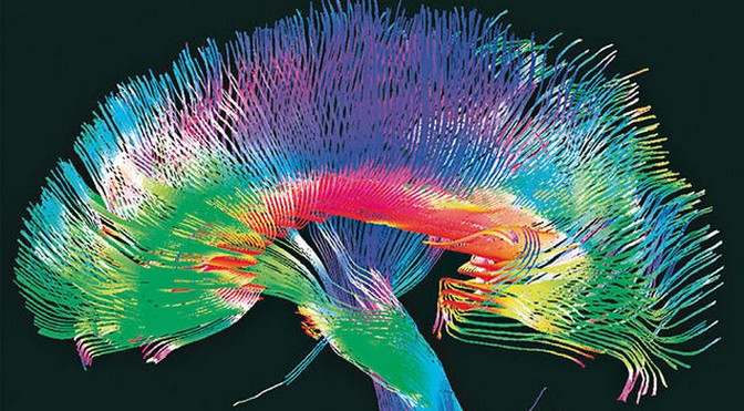 Human-Brain-Project Human-Brain-Project