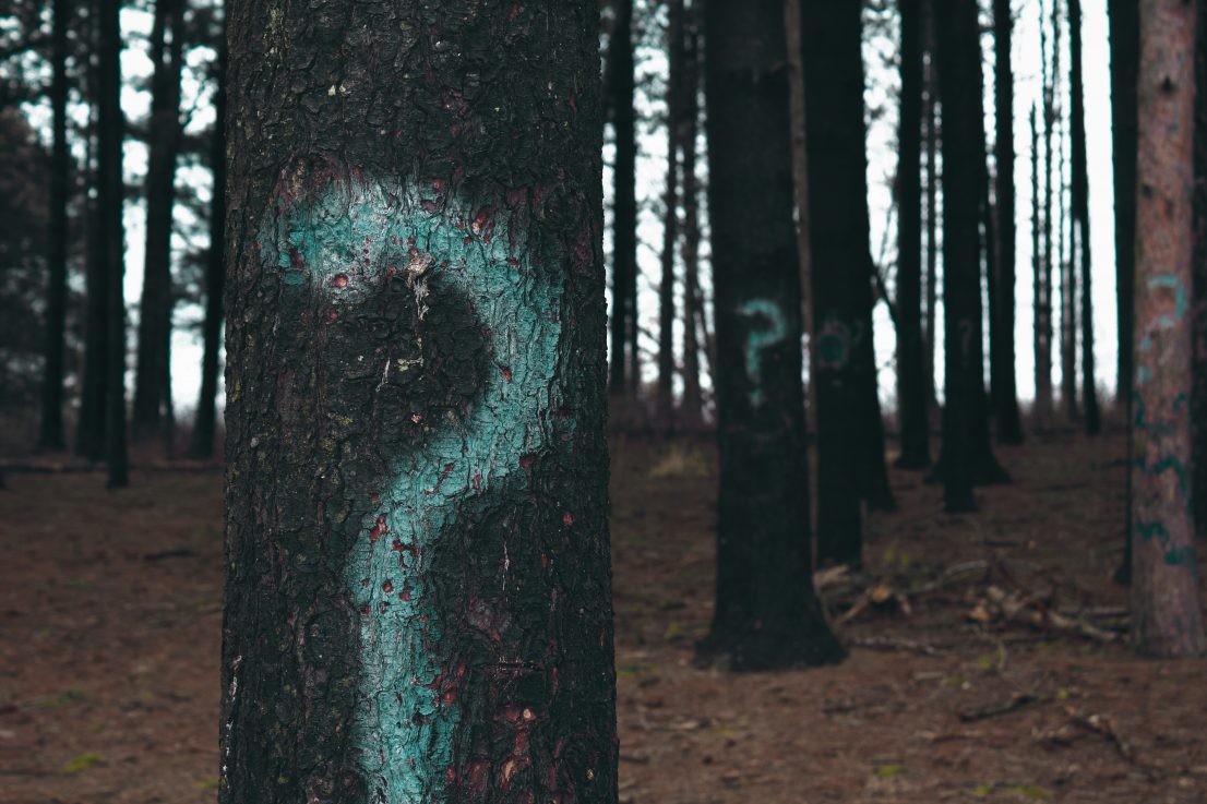questions on trees trees with question marks